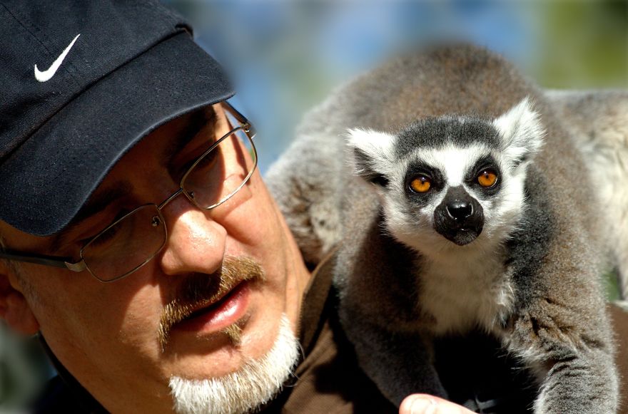 racoon-selfie-with-photographer