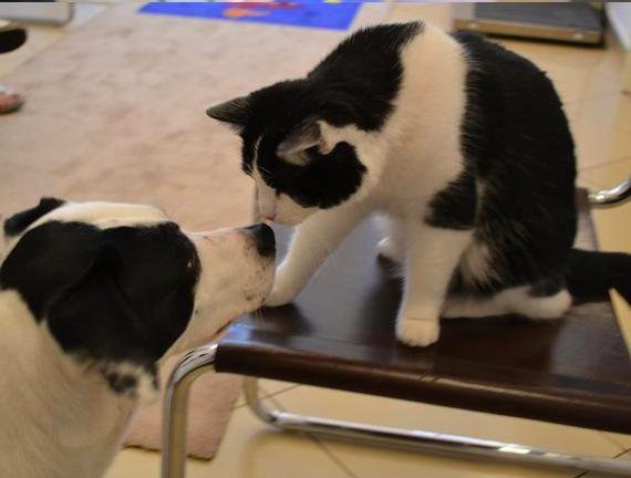 Bildschirmfoto-2016-07-15-um-221013-578943b3d88b8-png__605