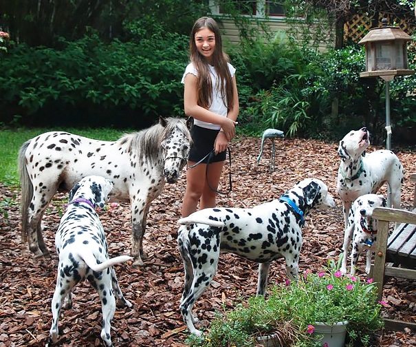 brother-from-another-mother-similar-animals-19-578794b375683__605