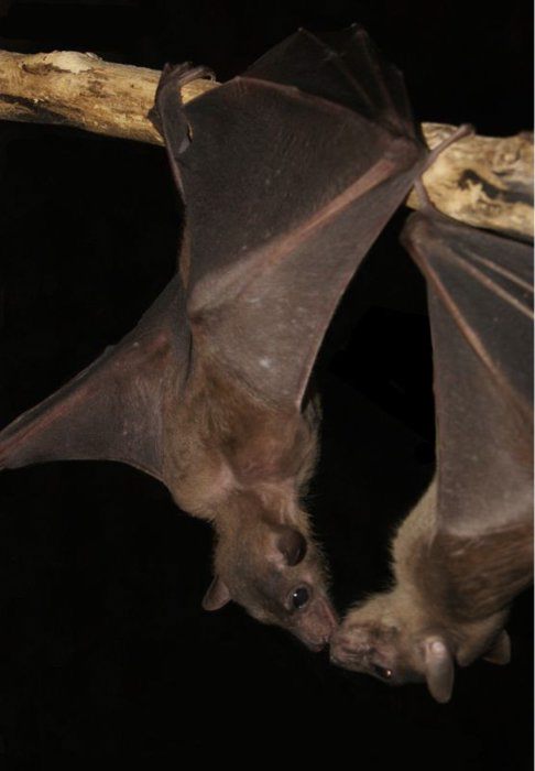 tumblr_lx7dhcdO3g1r2mlkyo1_500