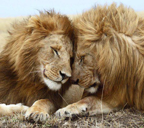 tumblr_m07zuavdAT1r0n5y3o1_500