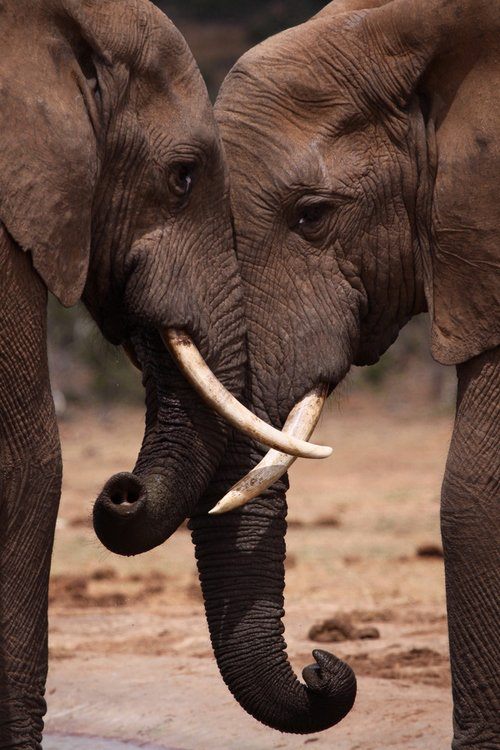 tumblr_m1mc9kN7ES1qm8fzgo1_500