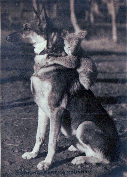 tumblr_mbg9fboMtT1rhckrwo1_500