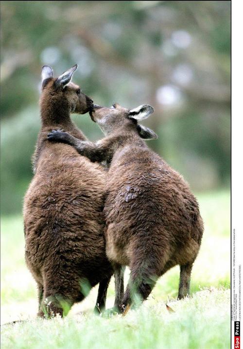 tumblr_motr8oenlv1qi92ezo1_500