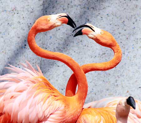 tumblr_motrc6bFRu1qi92ezo1_500