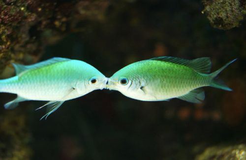 tumblr_motrgaQK6I1qi92ezo1_500