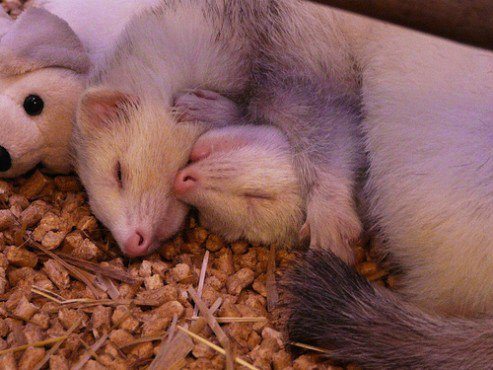 tumblr_mq7mtyUwZW1qi92ezo1_500