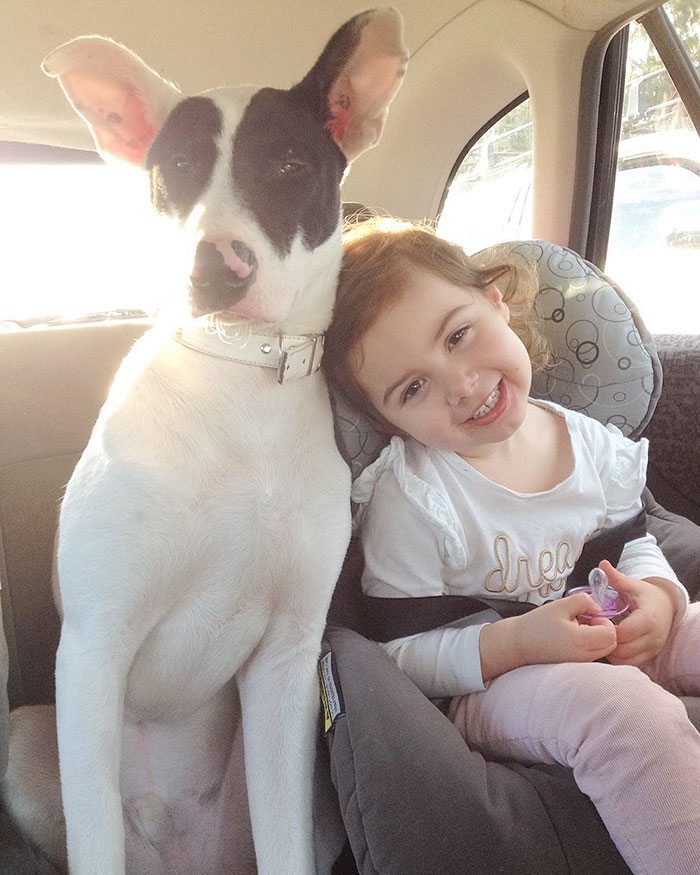 adopted-dogs-first-day-home-03-57960e23ad250__700