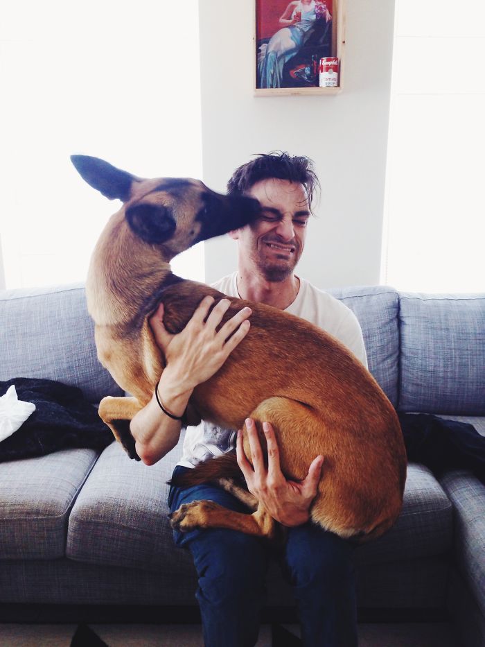 adopted-dogs-first-day-home-11-5797149237a48__700