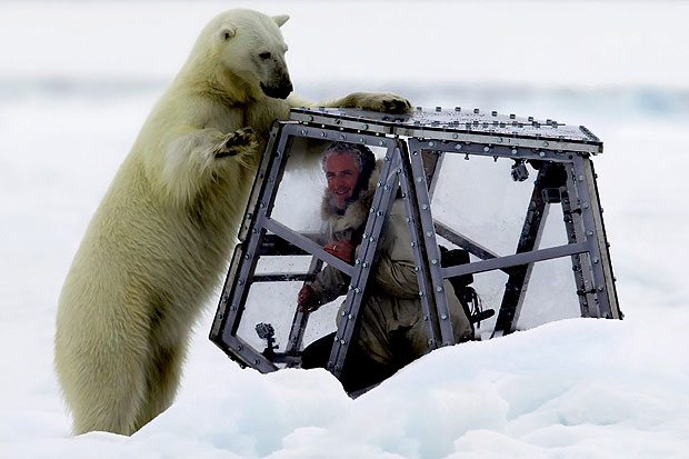 animal-size-comparison-15