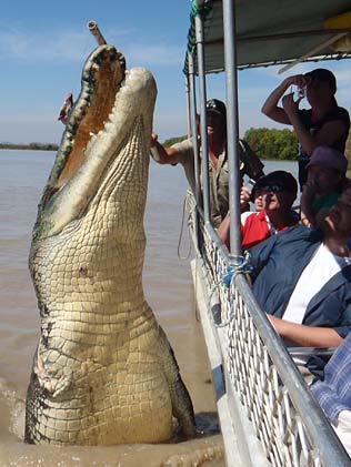 animal-size-comparison-16