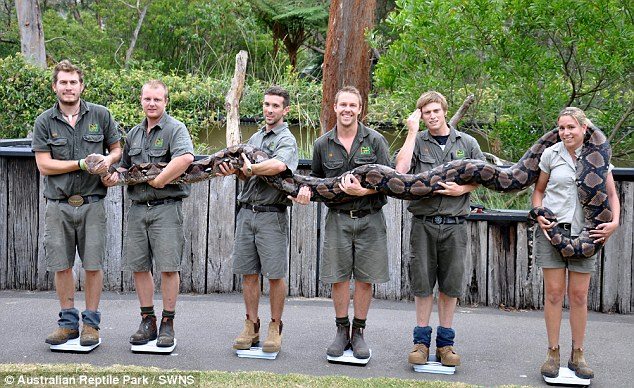 animal-size-comparison-27