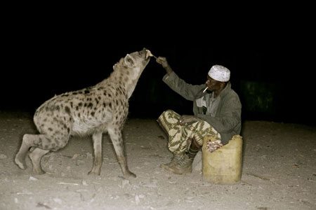 animal-size-comparison-29