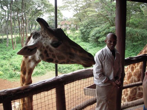 animal-size-comparison-32