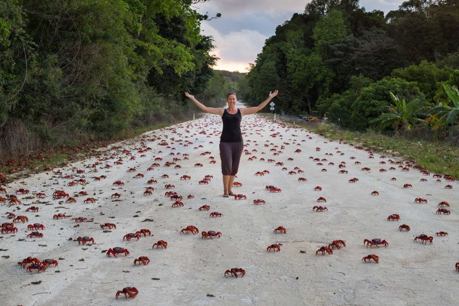 crabs