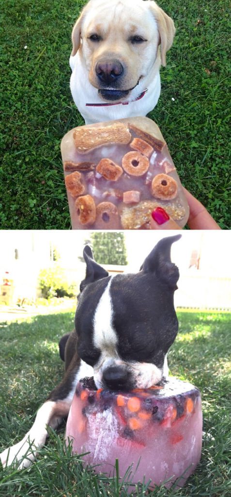 creative-dog-owners-13-57bbfee8a2937__605