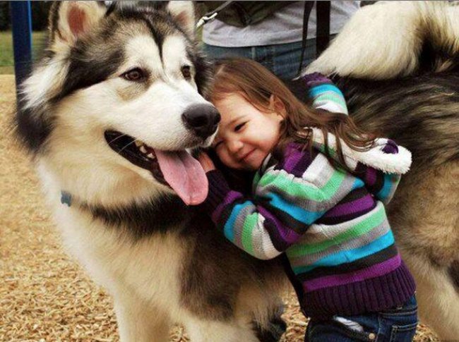 13-photos-of-kids-and-pets-that-melt-your-heart