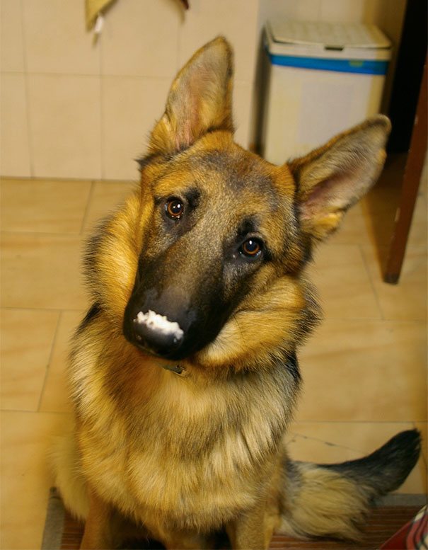 21-animals-eating-that-will-put-a-smile-on-your-face