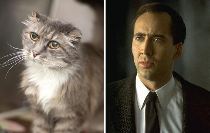 21-animals-that-look-just-like-famous-people