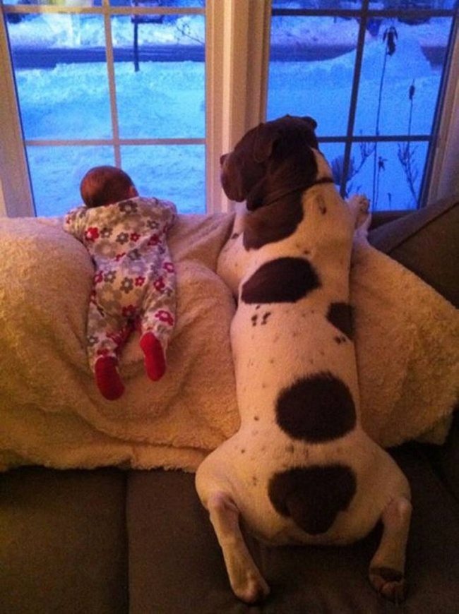25-photos-of-kids-and-pets-that-melt-your-heart