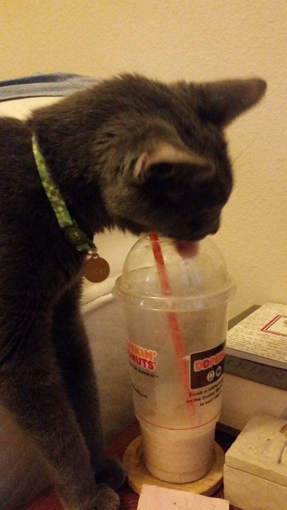 27-animals-eating-that-will-put-a-smile-on-your-face