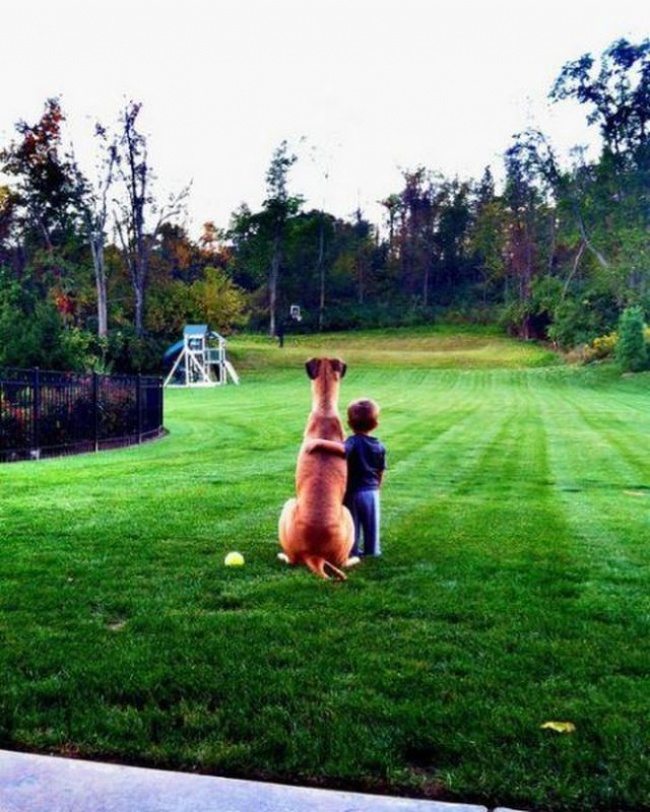 5-photos-of-kids-and-pets-that-melt-your-heart