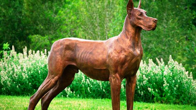 7-most-dangerous-dogs-worldwide