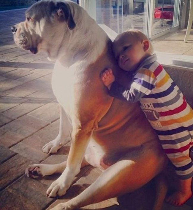 1-simply-perfect-photos-of-kids-and-their-pets