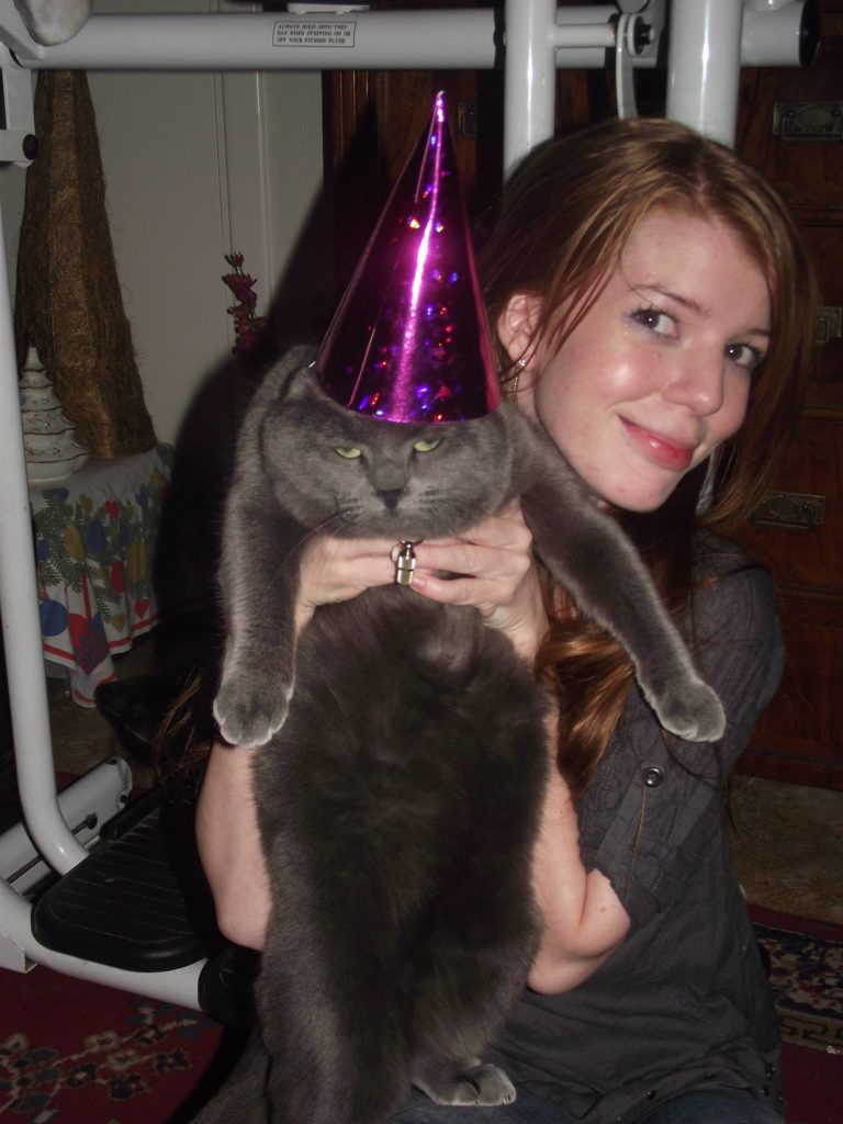 10-cats-and-the-worst-moment-of-their-9-lives