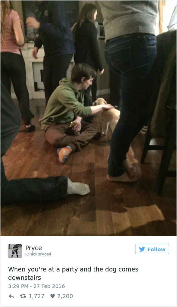 11-dog-tweets-that-are-simply-priceless