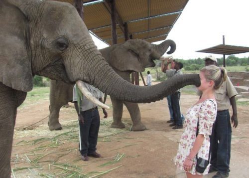 13-hilarious-fails-of-girls-and-animals