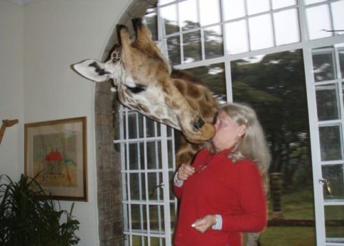 17-hilarious-fails-of-girls-and-animals