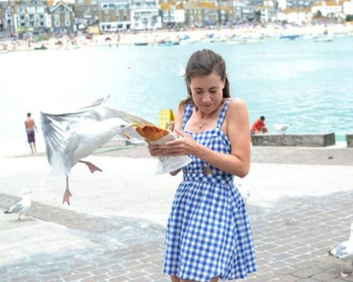 18-hilarious-fails-of-girls-and-animals