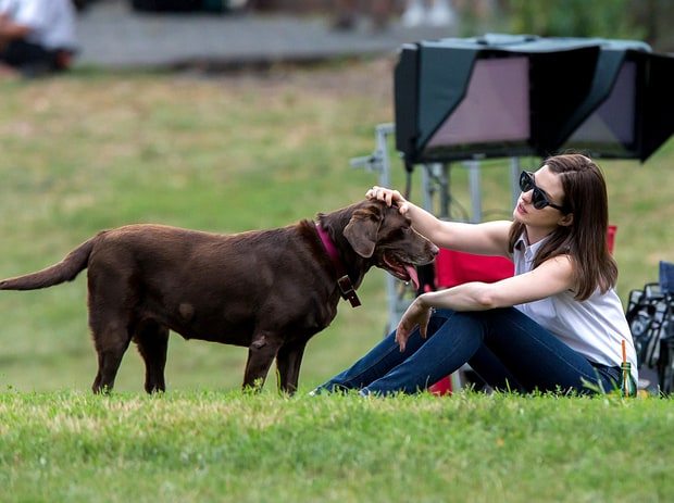 2-celebrities-totally-in-love-with-their-pets
