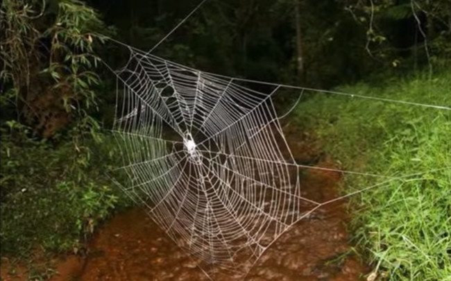 5-crazy-animal-facts-that-are-both-creepy-and-amazing