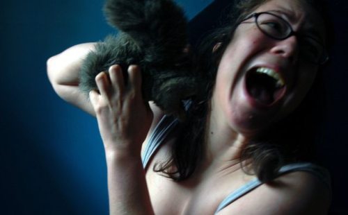 6-hilarious-fails-of-girls-and-animals
