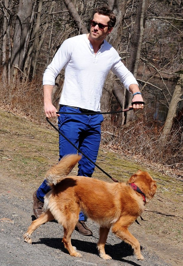 7-celebrities-totally-in-love-with-their-pets