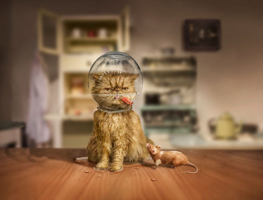 1-photoshopped-animals-surreal-universe