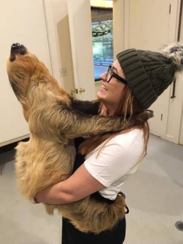 10-perfectly-timed-pics-of-animals-being-hilarious