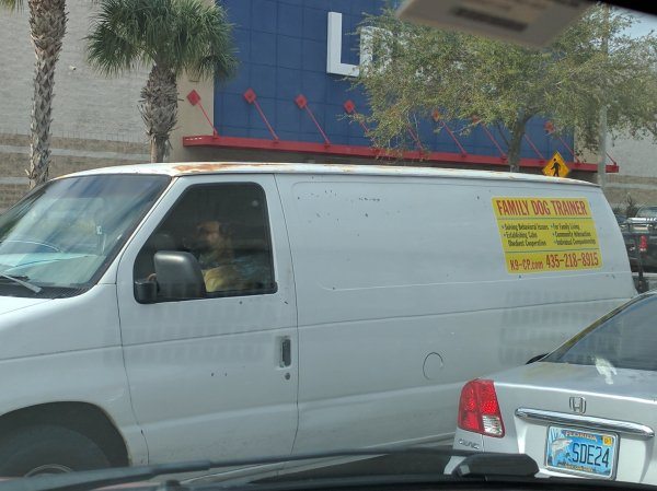 11-perfectly-timed-pics-of-animals-being-hilarious