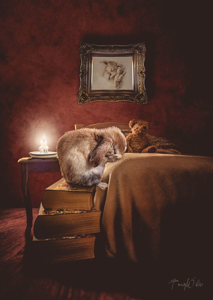 11-photoshopped-animals-surreal-universe