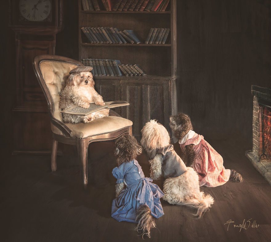 12-photoshopped-animals-surreal-universe