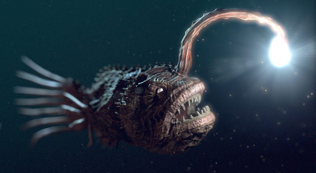 13-anglerfish-light-finding-nemo