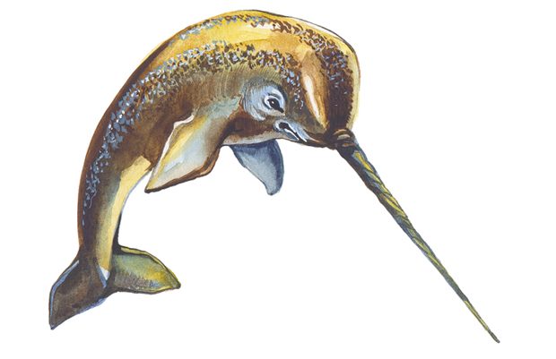 13-animal-facts-youve-never-thought-of