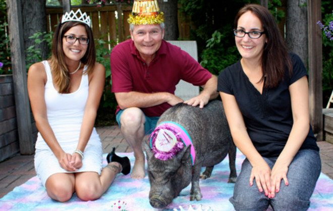 13-check-out-these-stunning-animal-world-records