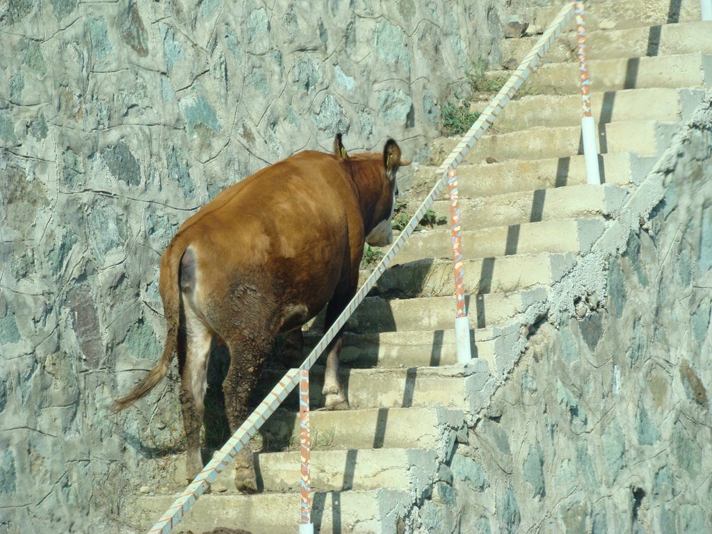 14-did-you-know-fascinating-facts