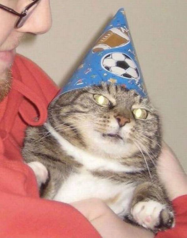 14-perfectly-timed-pics-of-animals-being-hilarious