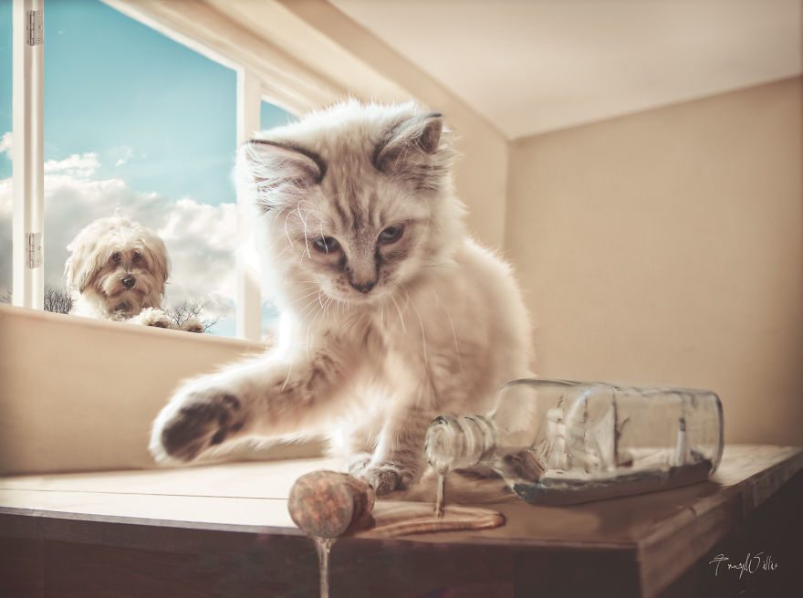 14-photoshopped-animals-surreal-universe