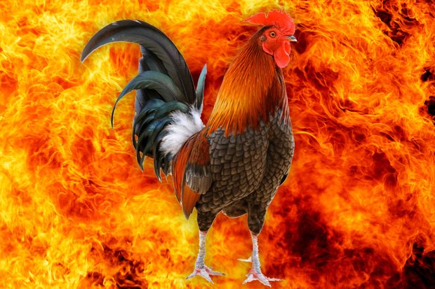 15-animal-facts-youve-never-thought-of