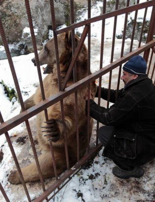 16-perfectly-timed-pics-of-animals-being-hilarious